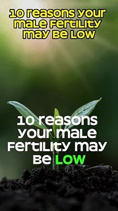10 reasons your male fertility may be low