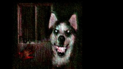 Palhaços Planadores  do Plexo Solar