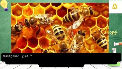 Apakah madu sebabkan asam urat?