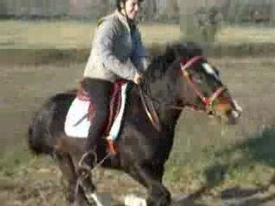 Hardy-montée