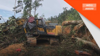 Lelaki maut dihempap balak