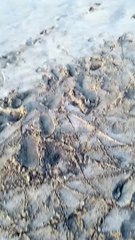 "رحلة هادئة: استمتع بمناظر البحر وأمواجه الهادئة في هذا الفيديو الرائع."