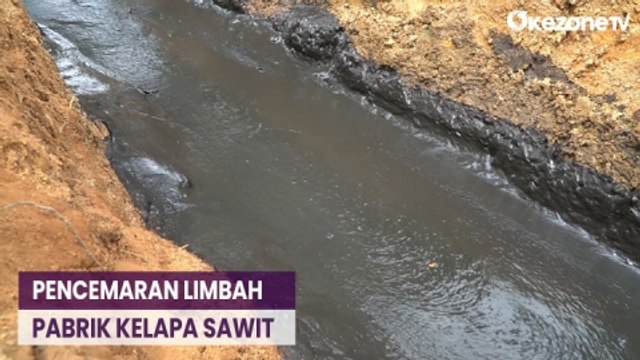 Limbah Pabrik Sawit Diduga Cemari Sungai dan Sawah di Banten