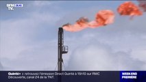 COP28: le chef de l'OPEP presse ses membres de 