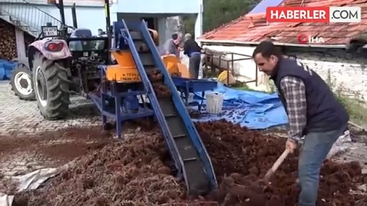 Denizli'nin Buldan ilçesinde kestaneler satışa sunuldu