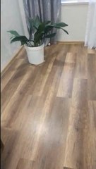 recovered mimi playing happily