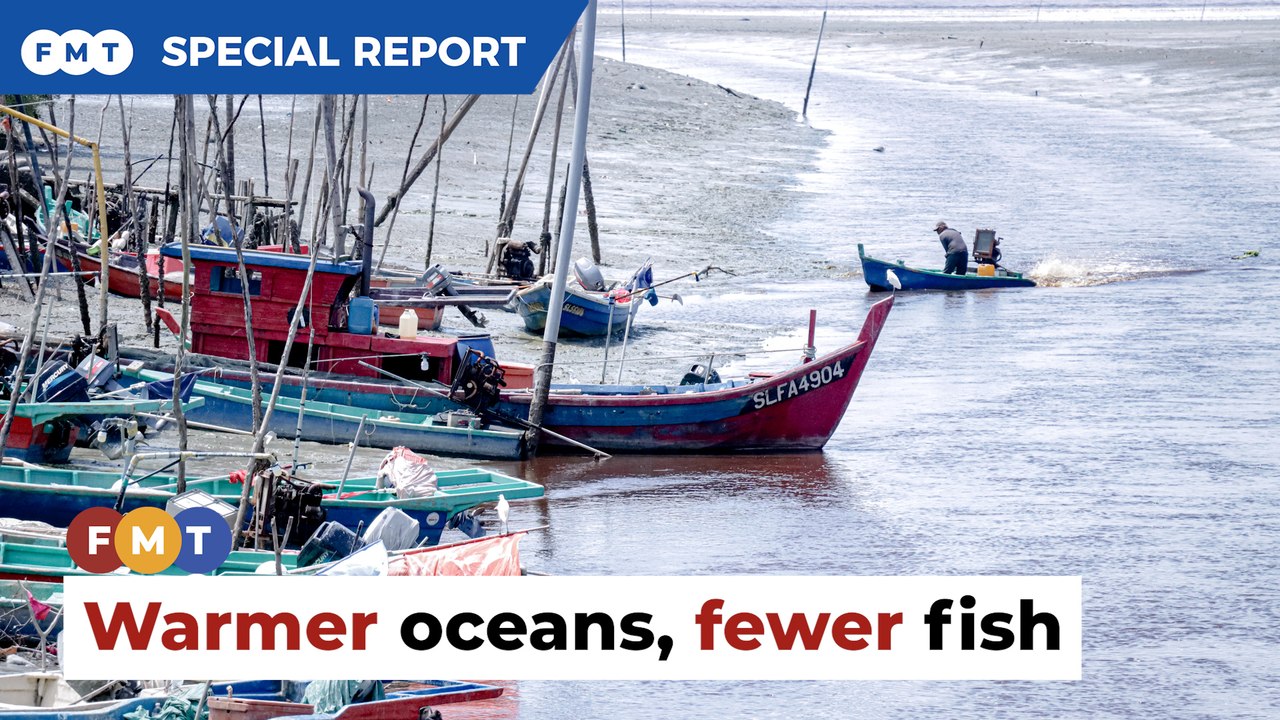 Reality bites for fishermen affected by climate change