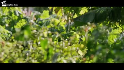 Review Phim Eo Biển Xanh Thức Tỉnh - Blue Lagoon The Awakening