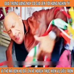 Review phim Lệnh truy nã đỏ