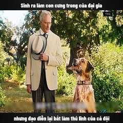 Review phim Tiếng gọi nơi hoang dã