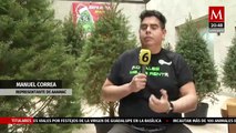 Navidad sostenible: Renta tu pino y celebra la Navidad con conciencia ambiental