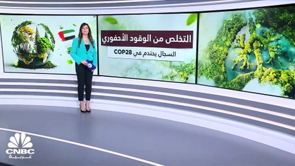 هل يستطيع العالم التخلّص من الوقود الأحفوري؟