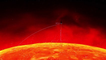 Animation vs Physics: Key Differences