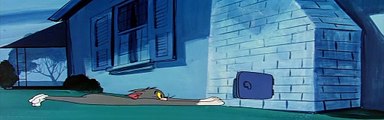 Tom & Jerry (1940) - S1950E66 - The Vanishing Duck (480p x264 AAC)