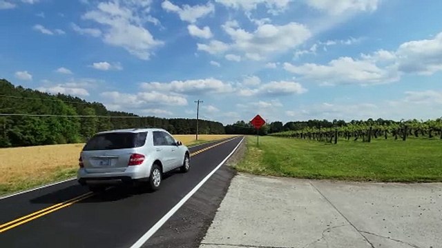 Where Shadows Dance and Silence Reigns: A Journey Through the Ancient Woods