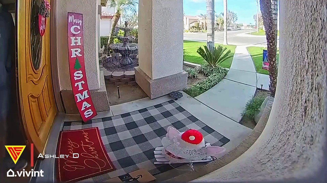 Dog Jailbreak Fails Caught on Vivint Doorbell Camera | Doorbell Camera Video