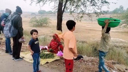 Agricultural Operation