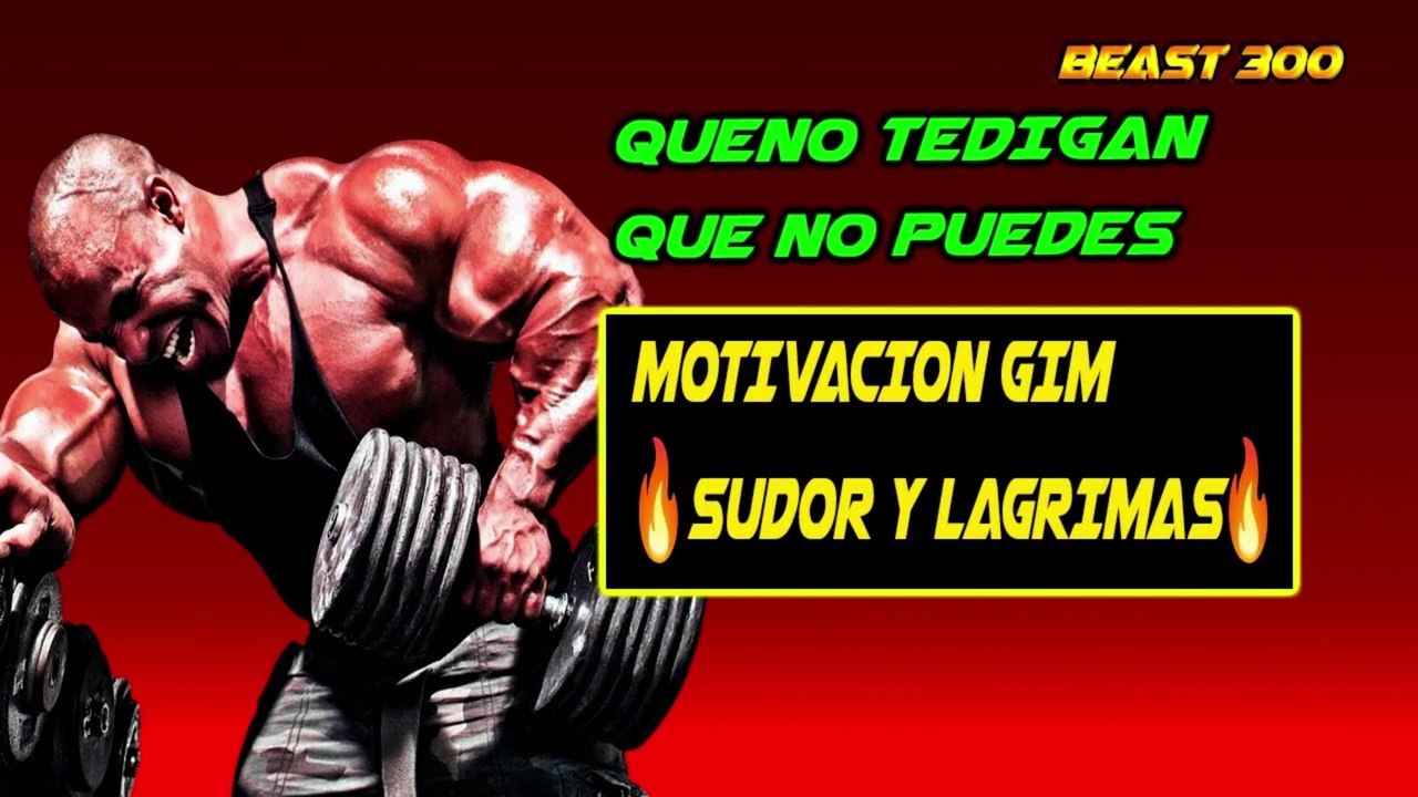 QUENO TEDIGAN QUE NO PUEDES MOTIVACION GIMSUDOR y LAGRIMAS  ( BEASTE 300 )