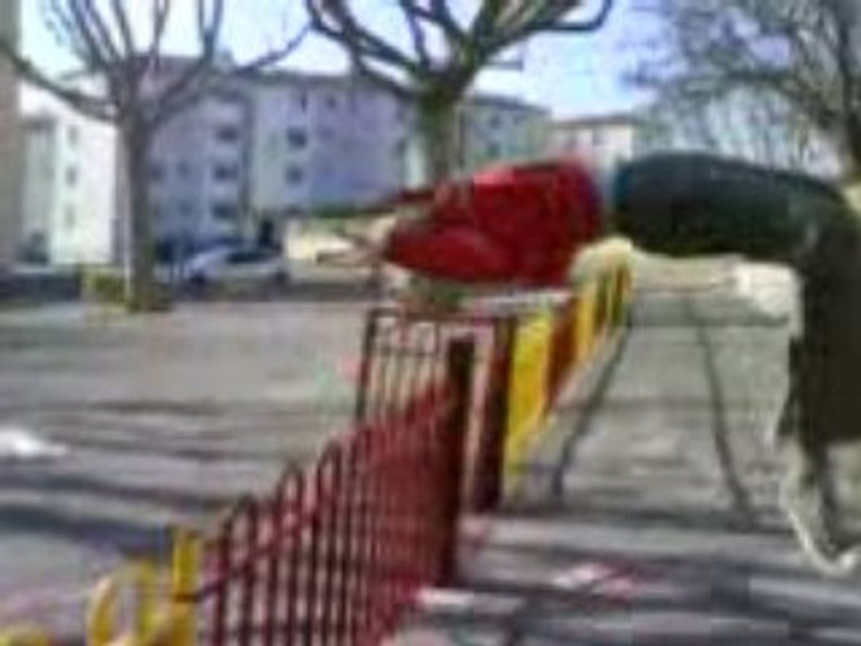 un salto de babouin