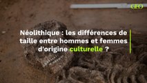 Néolithique : les différences de taille entre hommes et femmes d'origine culturelle ?