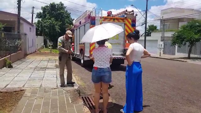 Cadela fica presa em bueiro e precisa ser socorrida pelo Corpo de Bombeiros