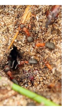 How To Teach Children | Kids | Urdu/Hindi | An Inspirational Story | Weird Stories