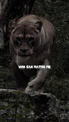 ⚜️Nobody can stop me! . . . . . .