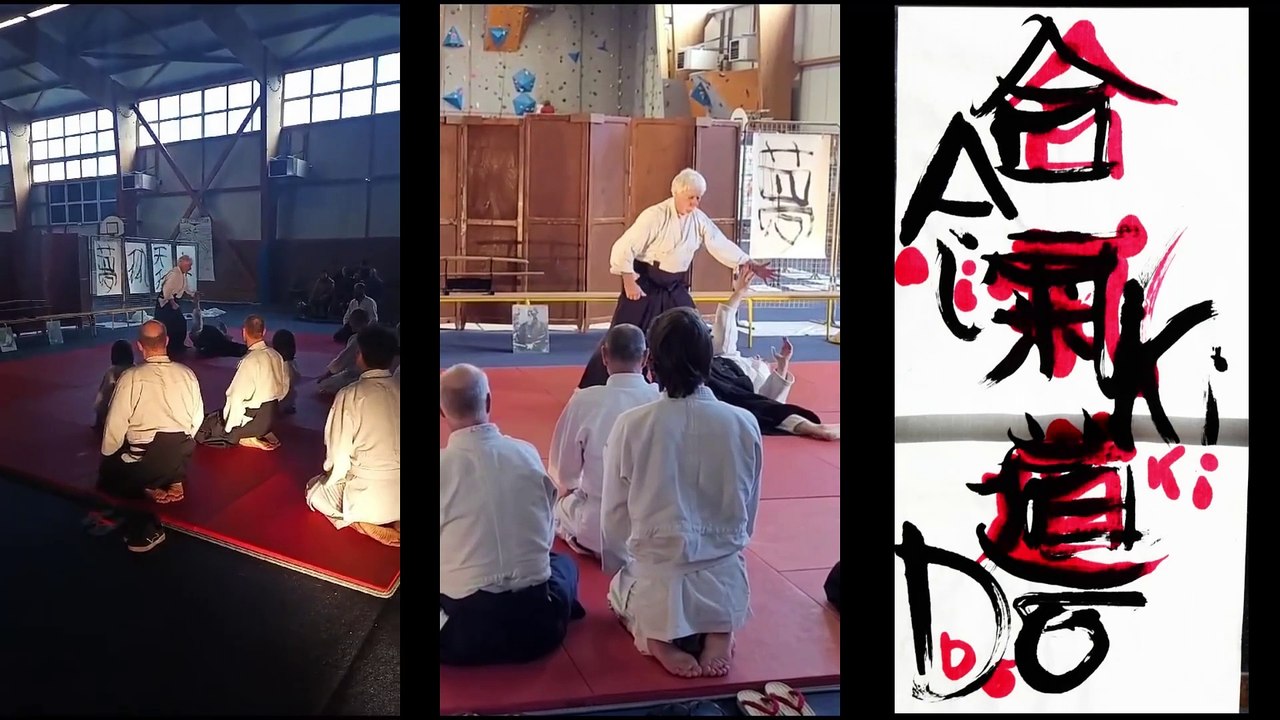 Jacques ROURE !!!!! aikidô
