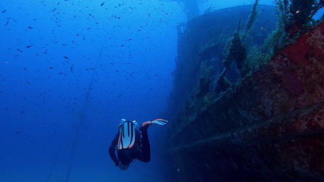 Under the #Ocean | Calm