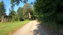 "Mutter des Wienerwalds" | MTB Babenberger-Strecke (3)