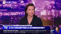 Projet de loi immigration: 