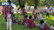 Indígenas mexicanos rezan en honor a la Virgen de Guadalupe debajo de árboles sagrados