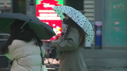 [날씨] "마치 여름비처럼 온다"...강풍에 강원 산간 대설 / YTN