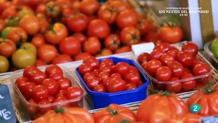 Las cinco claves 3ª parte Las semillas