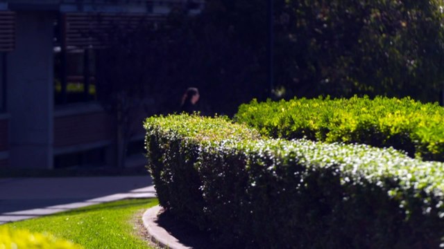 Government announces new strategy to crackdown on migration