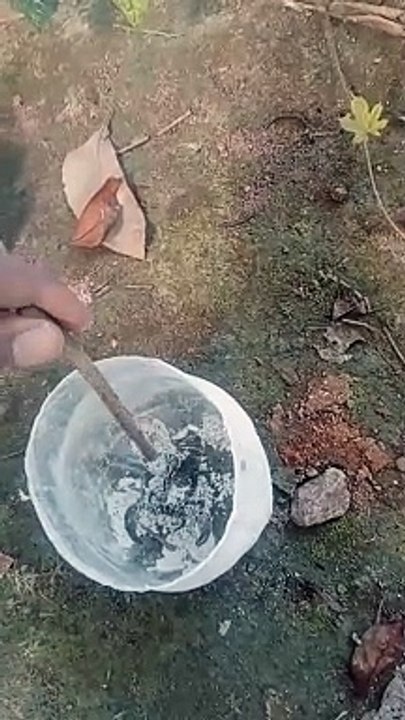 VID20231207094557