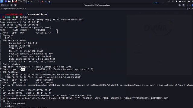 Penetration Testing with Hydra and Kali Linux