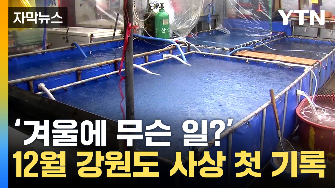 [자막뉴스] "사상 처음"...12월에 폭우 쏟아지는 강원도 / YTN