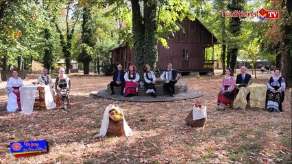 Paul Gheorghe - Padure, draga padure la acordeon (In pas cu traditia - Traditional TV - 01.12.2023)