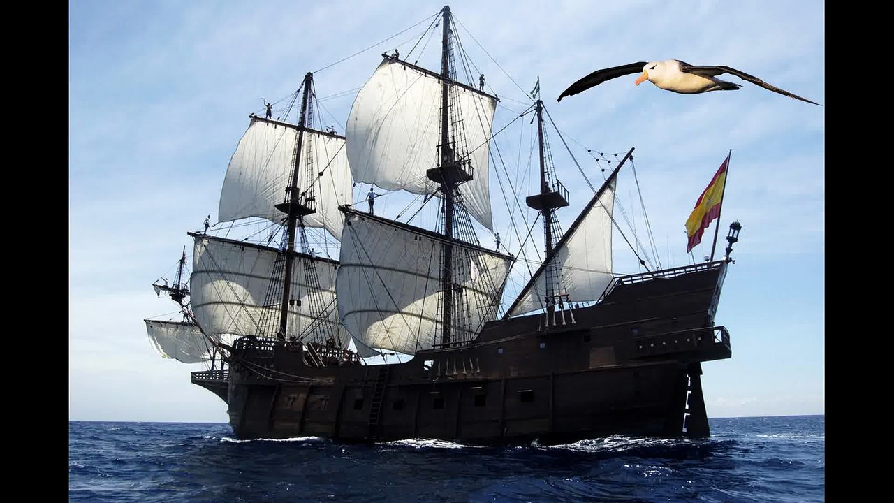 L'albatros