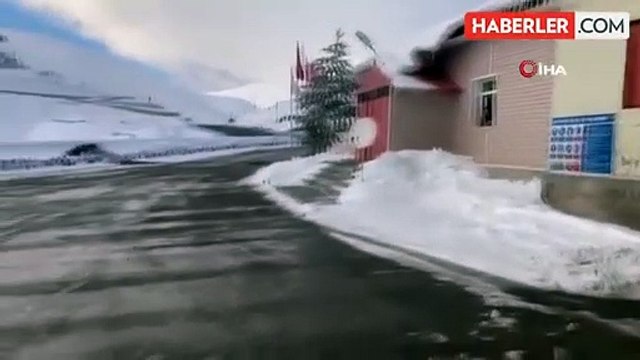 Karayolu üzerine terk edilen başıboş köpekler tehlike saçıyor