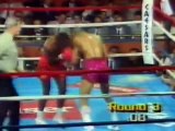 Donald Curry Vs Lloyd Honeyghan - boxing - undisputed welterweight world title