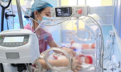 TPHCM tiếp tục báo động về mức sinh thấp