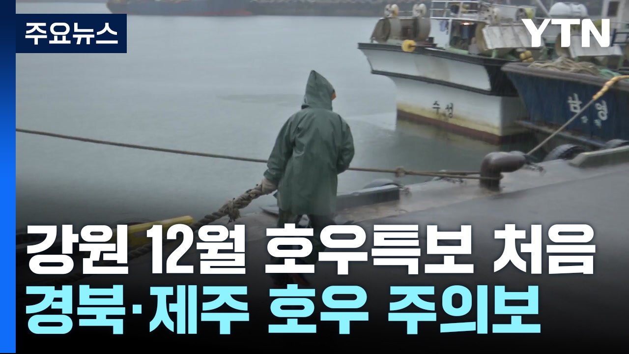 [날씨] 전국 강풍 동반 겨울 호우...강원 산간 대설경보 / YTN