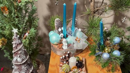 Stroiki świąteczne w Ogrodzie Botanicznym