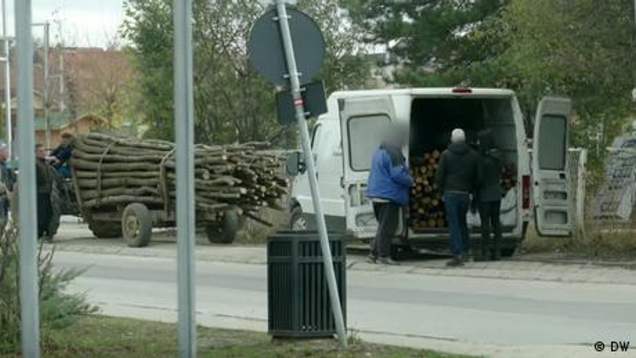 Kosovo: Immer mehr illegale Abholzung