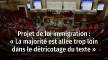 Projet de loi immigration : « La majorité est allée trop loin dans le détricotage du texte »