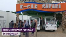 Keren, Jatim Park Hadirkan Wisata Drive Thru Pertama di Indonesia