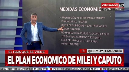 La nueva Argentina: ¿cuáles son las medidas económicas de Miley Y caputo?