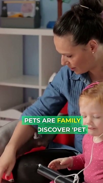 Pet Insurance The Care Your Furry Friend Deserves